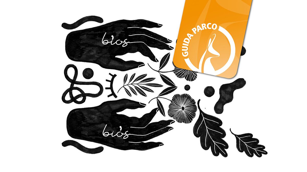 Rappresentazione grafica in bianco e nero di mani, fiori e foglie di Desiree Land