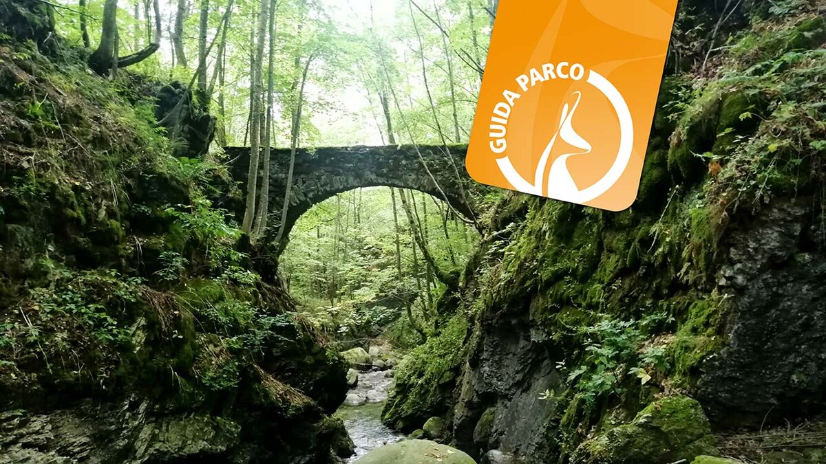 Uno dei caratteristici ponti di pietra della Val Grande di Palanfrè | D. Dalmasso