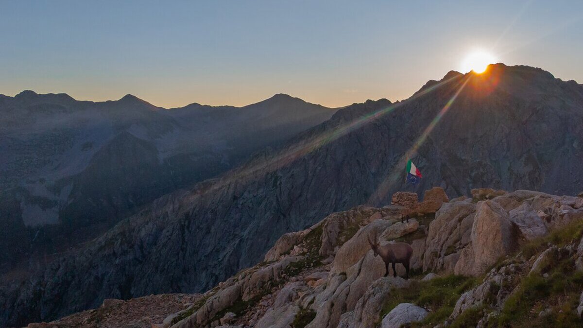 Fotografia: tramonto nei pressi del rifugio Pagarì e stambecchi | F. Borgogno