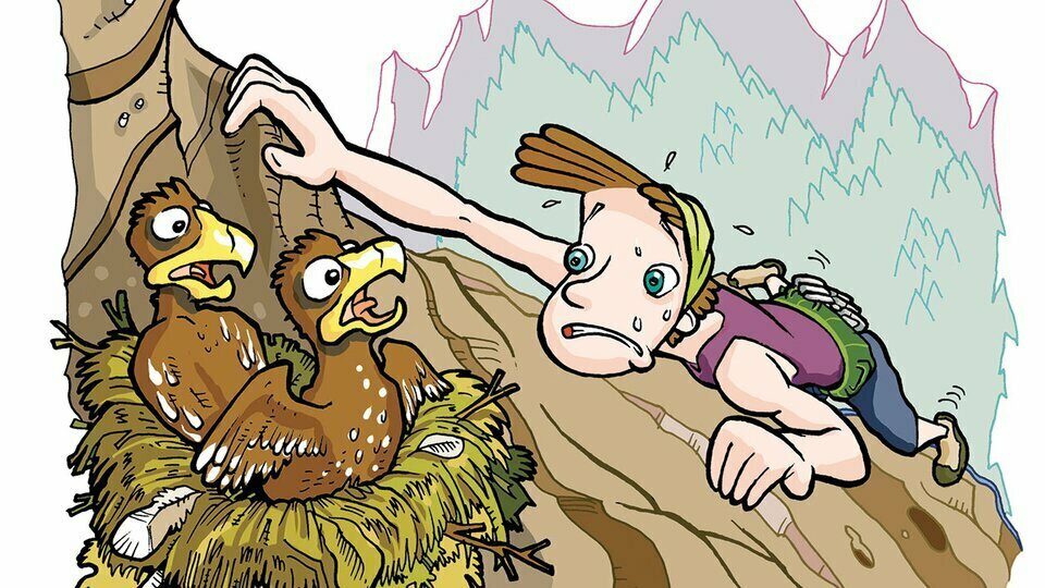 Fotografia: Una delle immagini della mostra Gli animali e noi. Si vede un fumetto con un ragazzino che si avvicina a un nido in parete con due nicdiacei.