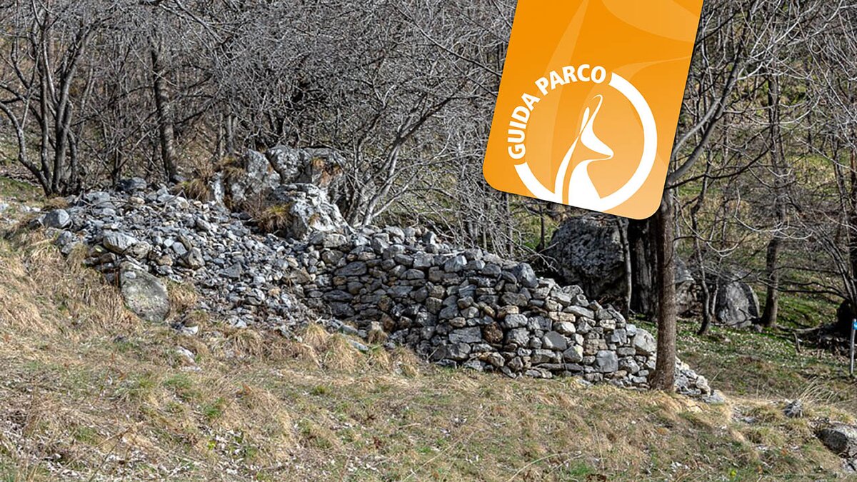 Fotografia: uno dei machée che caratterizza i pascoli dell’Associazione Fondiaria di Carnino | G. Cristiani