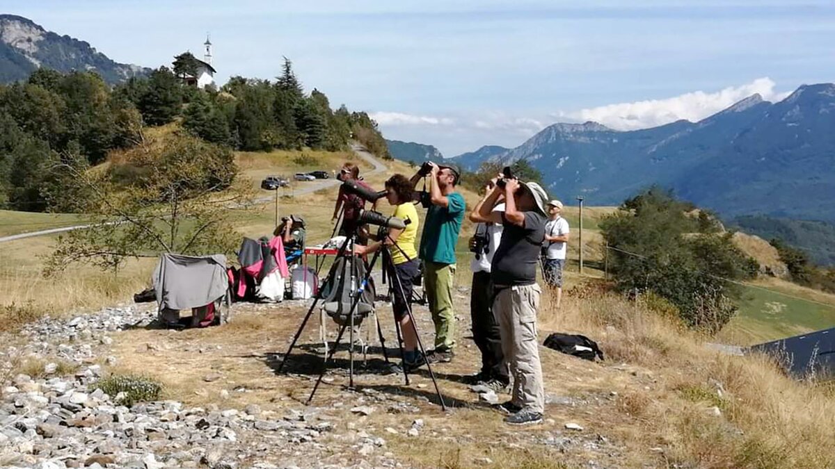 Fotografia: i volontari del Progetto Migrans impegnati nel trentatreesimo campo dedicato al monitoraggio della migrazione post-riproduttiva dei rapaci diurni | Archivio Progetto Migrans