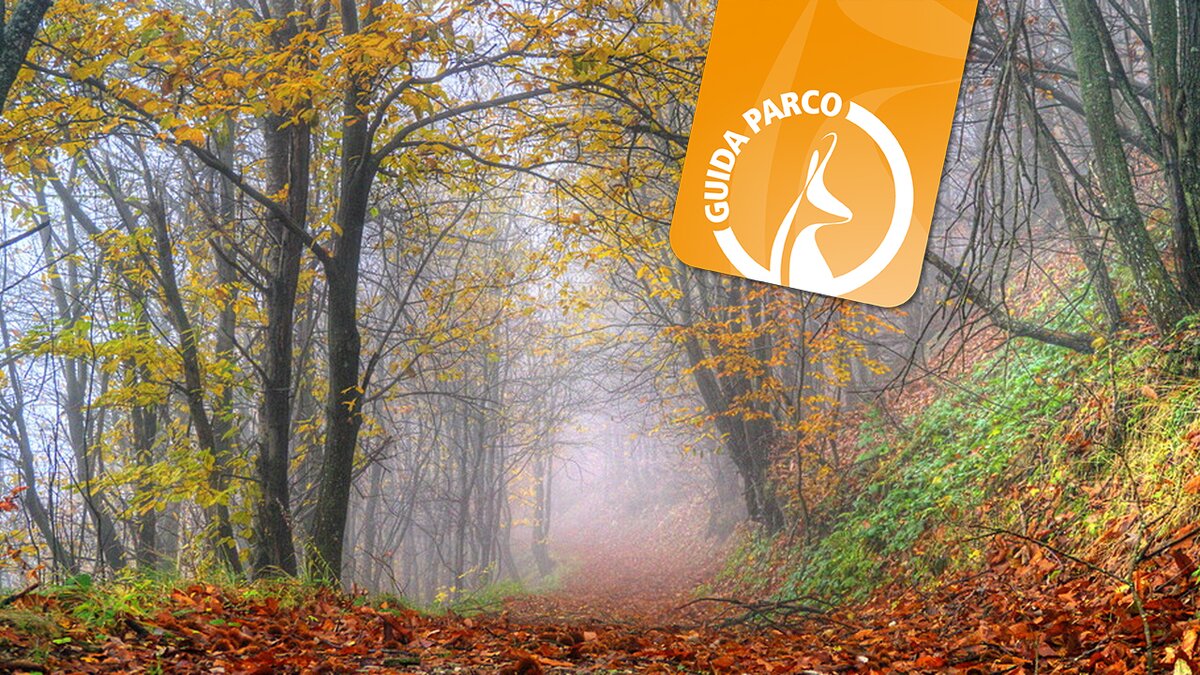 Nella fotografia: un tratto dell'itinerario che si percorrerà domenica 29 ottobre | R. Pockaj.