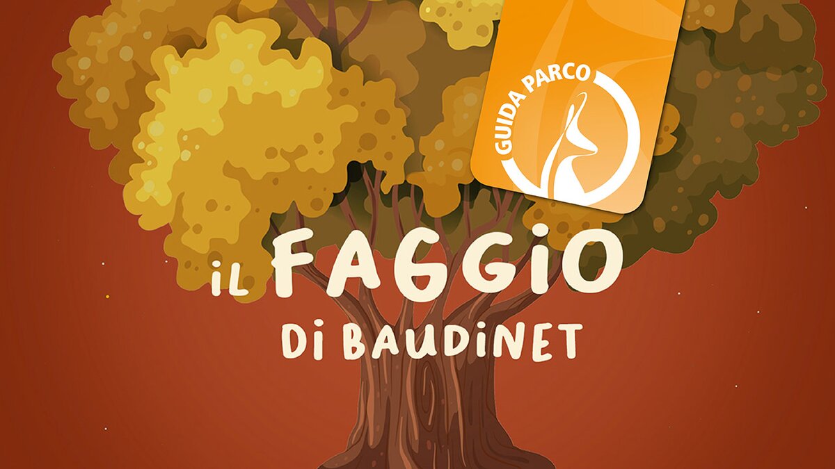 Illustrazione: D. Burlando