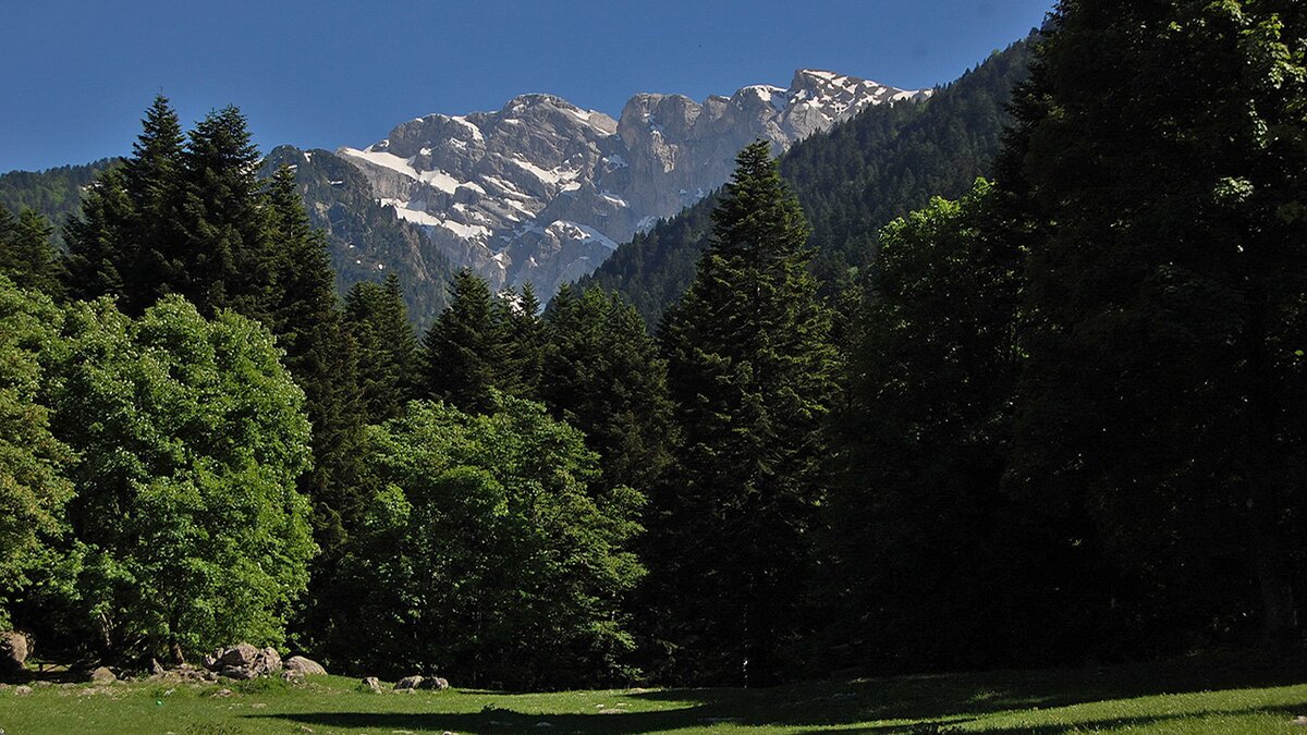 Nella fotografia: il Marguareis dal Pian delle Gorre. | D. Regine.