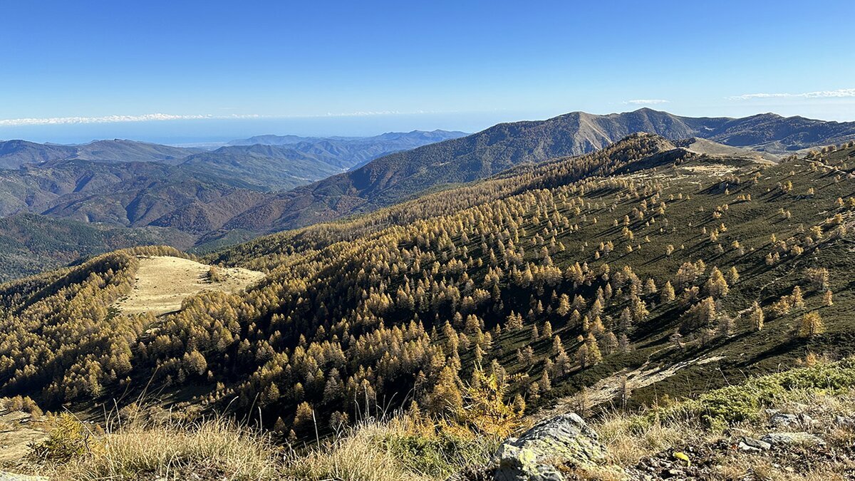 Fotografia: il Bosco delle Navette in veste autunnale | G. Bernardi