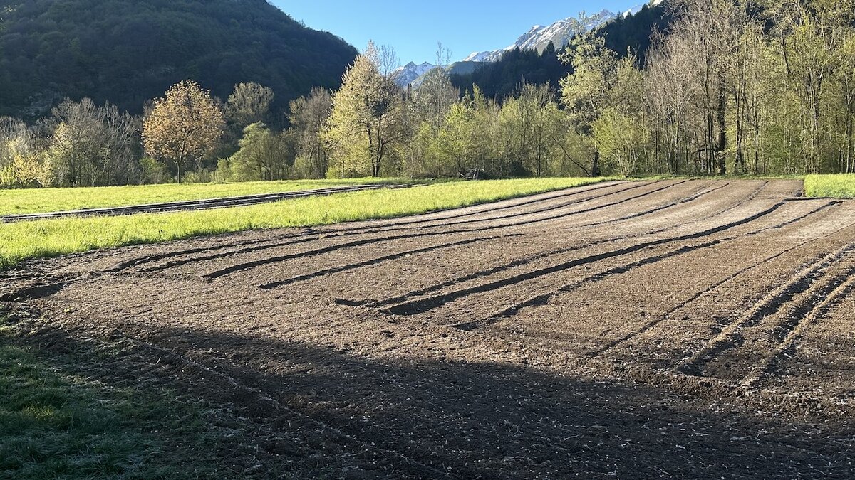 Seminativi in ambiente ad elevata biodiversità scattata da G. Bernardi.