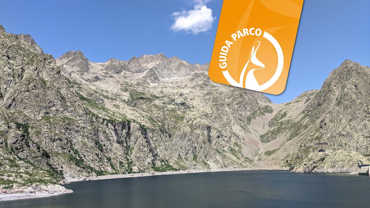 Laghetti reali | F. Borgogno