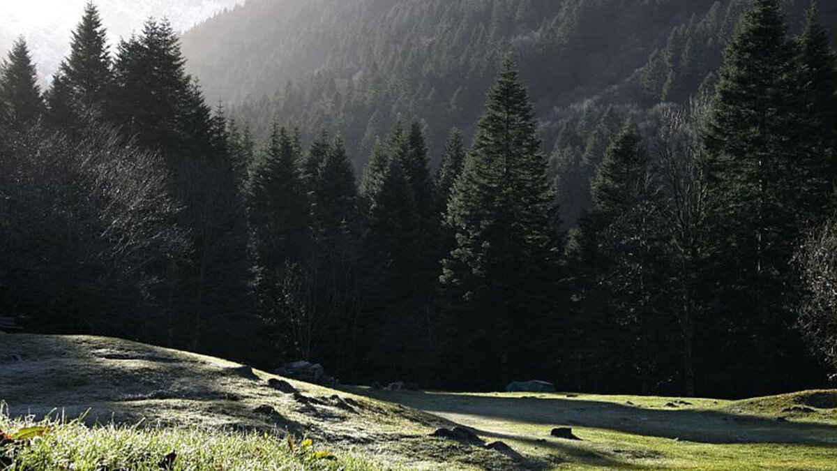 Fotografia di E. Roba della radura del Pian delle Gorre in primavera