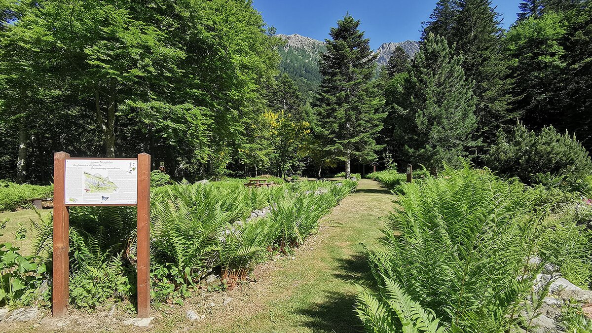 nella foto: Il giardino botanico Valderia che aprirà il prossimo 15 giugno | G. Bernardi