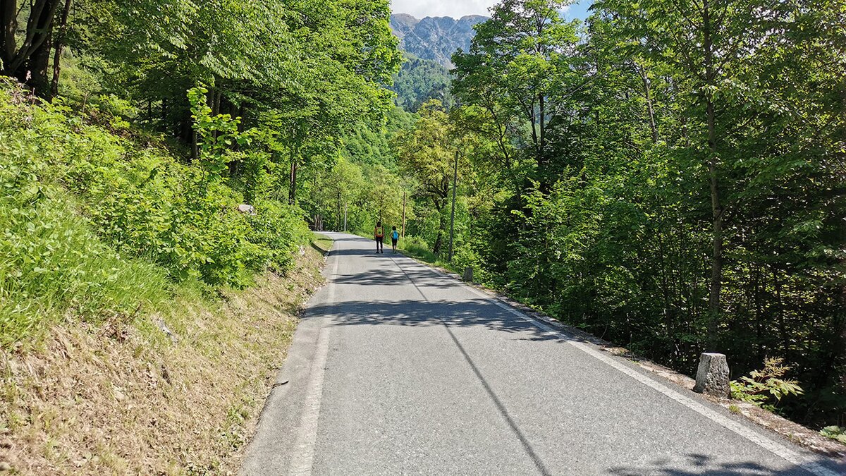 Nella fotografia: la strada Certosa-Pian delle Gorre | G. Bernardi