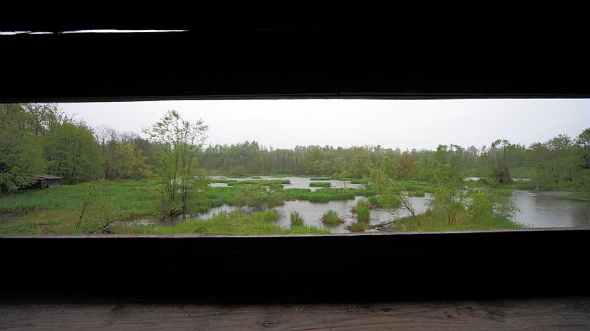 Foto di A. Maffucci della vista dall'interno del capanno di osservazione