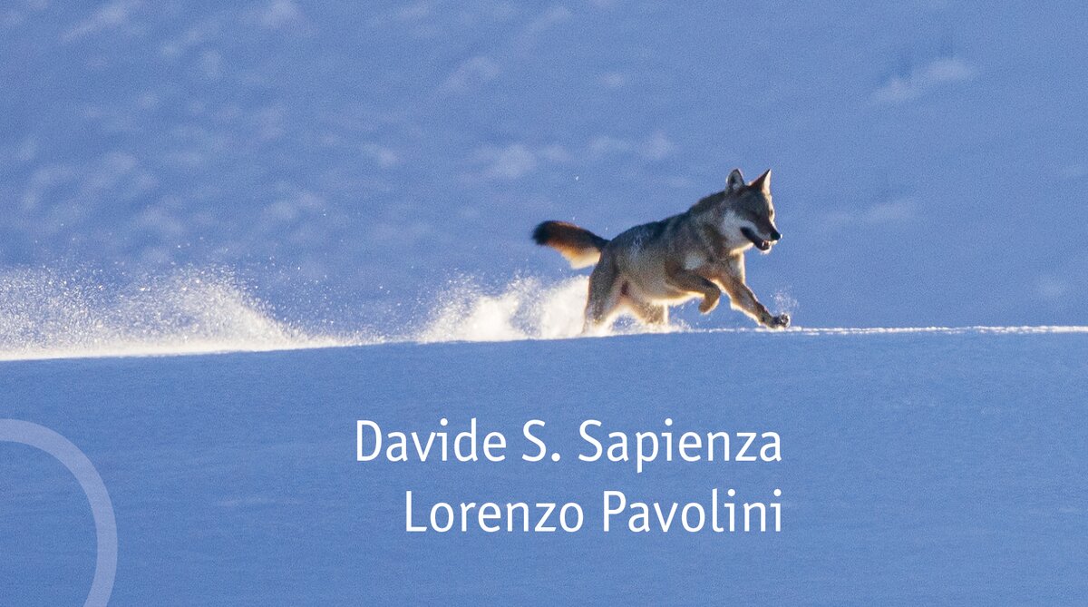 L'immagine di presentazione del podcast Nelle tracce del lupo, prodotto da RaiPlay