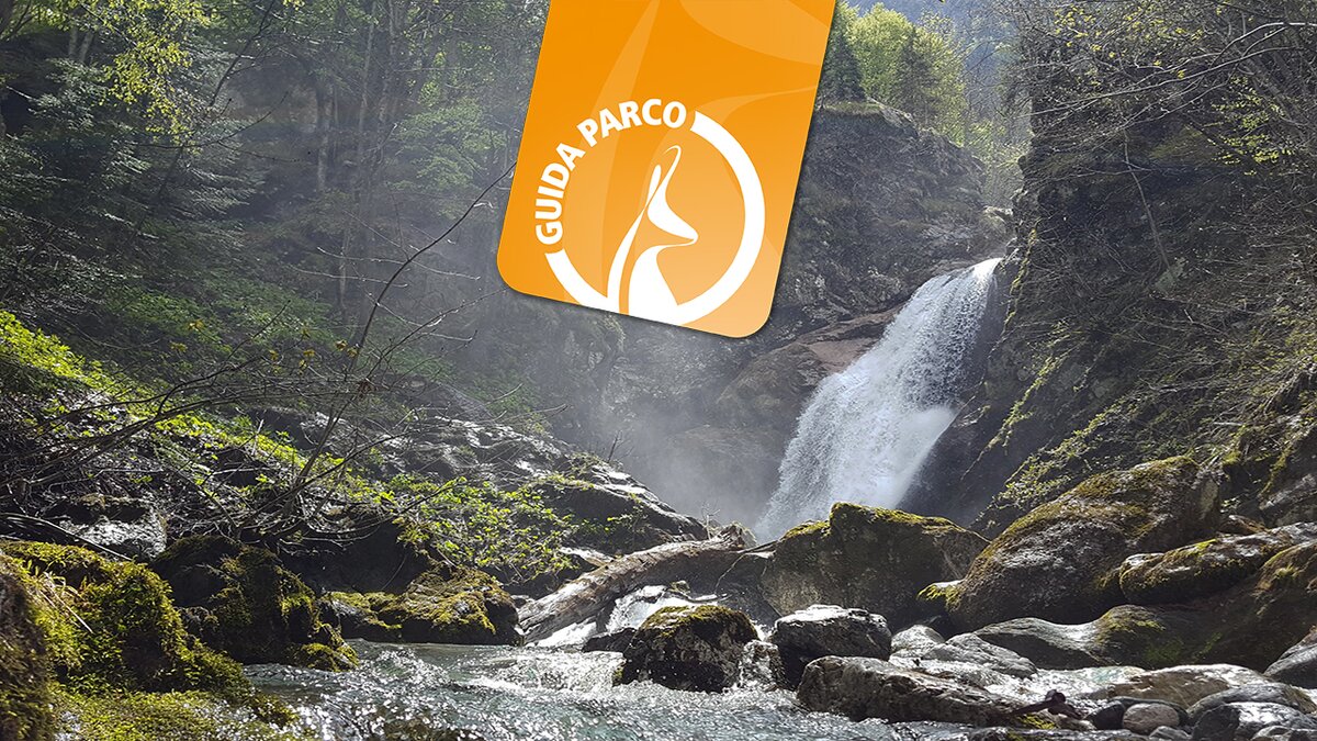 Fotografia: La cascata del Gias Fontana | G. Bernardi.