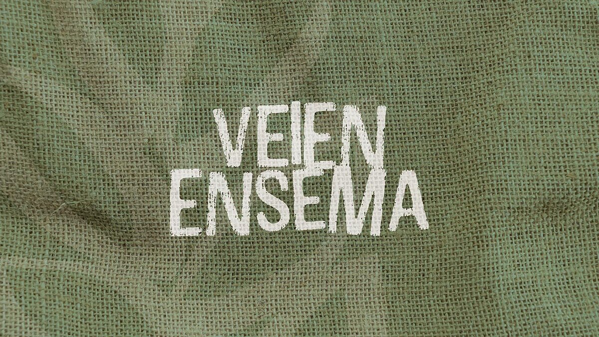 Fotografia: cover Veien ensema