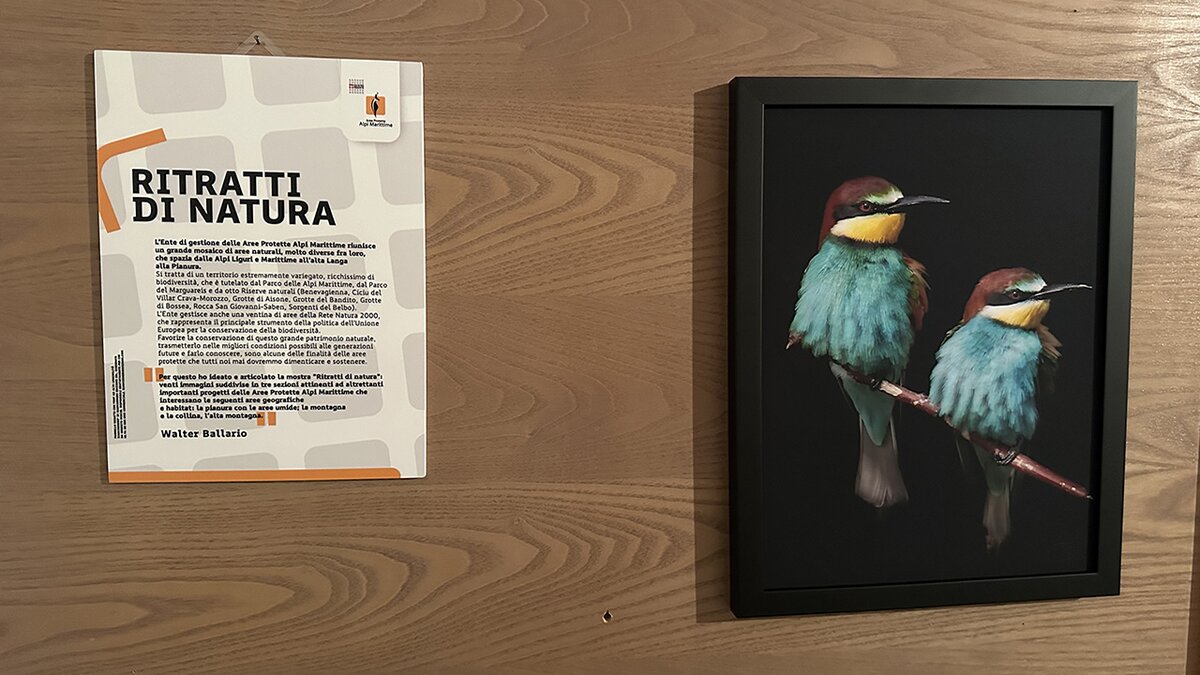Una delle fotografie in mostra | G. Bernardi.