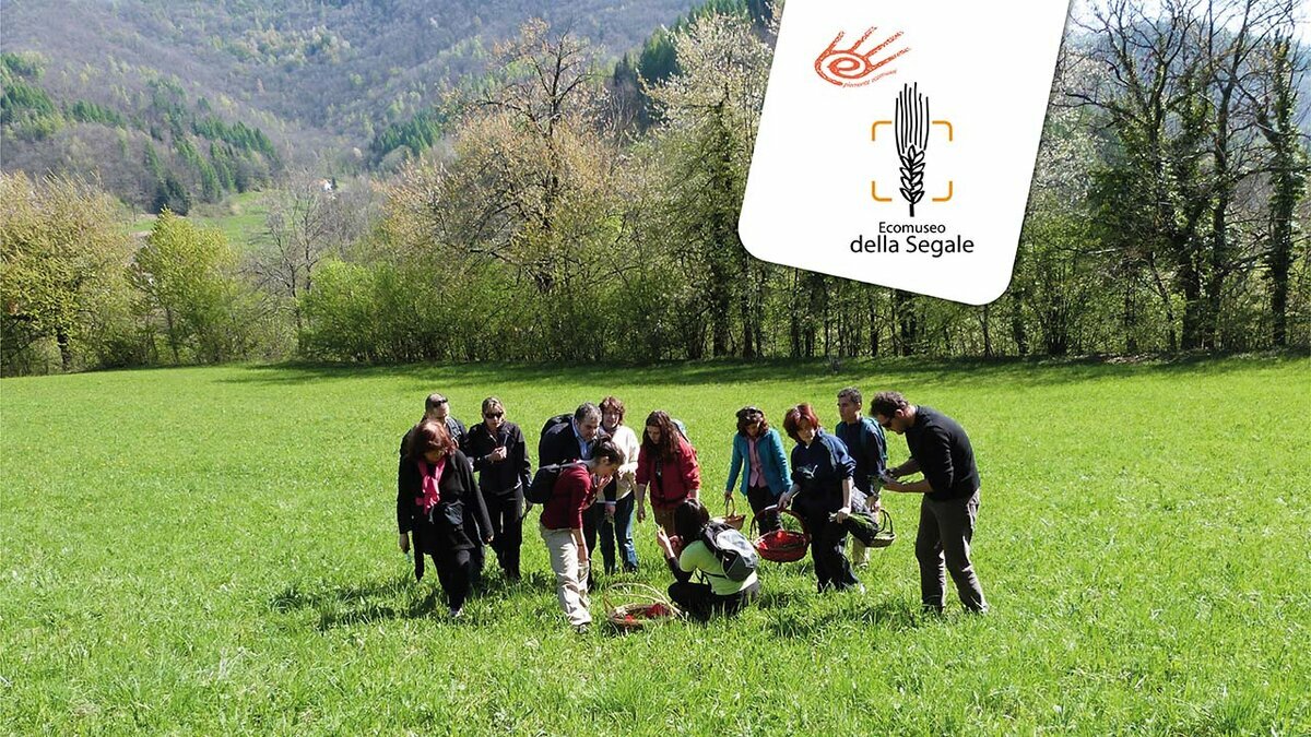 Fotografia: andar per erbe insieme all'erborista e naturopata Barbara Milanesio
