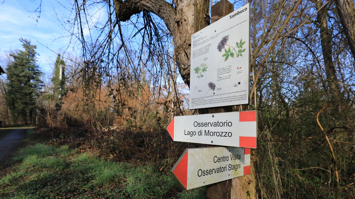 Nella foto un cartello indicatore nella Riserva naturale Crava Morozzo | G. Bernardi