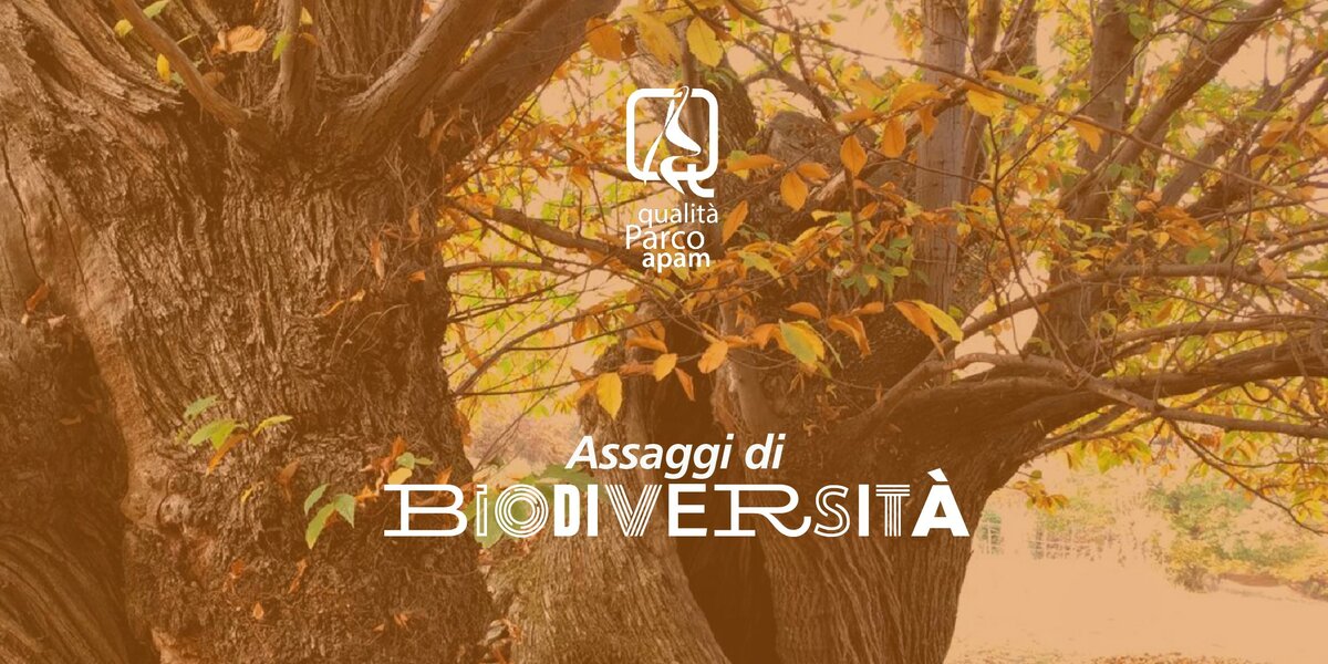 Il logo di Assaggi di biodiversità