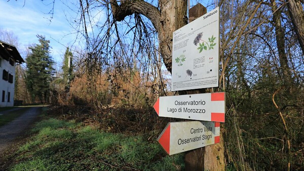 Fotografia di G. Bernardi raffigurante due cartelli segnaletici all'interno della Riserva di Crava Morozzo indicanti l'Osservatorio e il lago di Morozzo e il Centro Visita e gli stagni