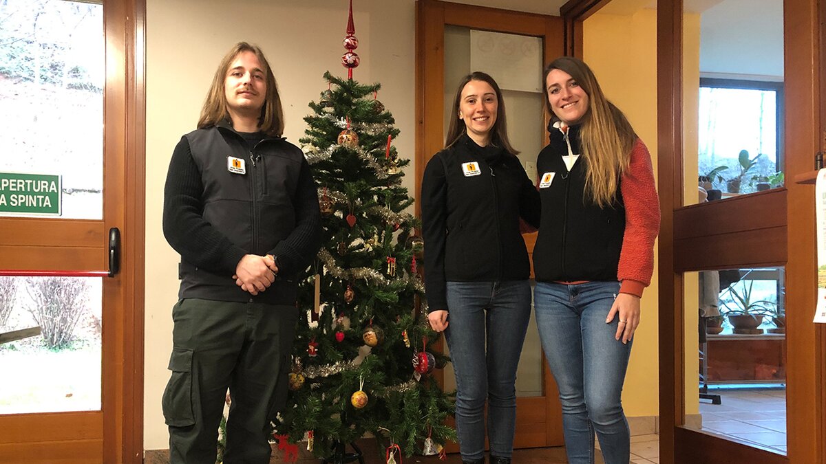 I tre nuovi ragazzi del Servizio Civile Universale Ambientale posano di fronte all'albero di Natale realizzato nella sede del Parco di Chiusa Pesio. Da sinistra si trova l'unico ragazzo, Matteo, seguito da Benedetta e da Marta.