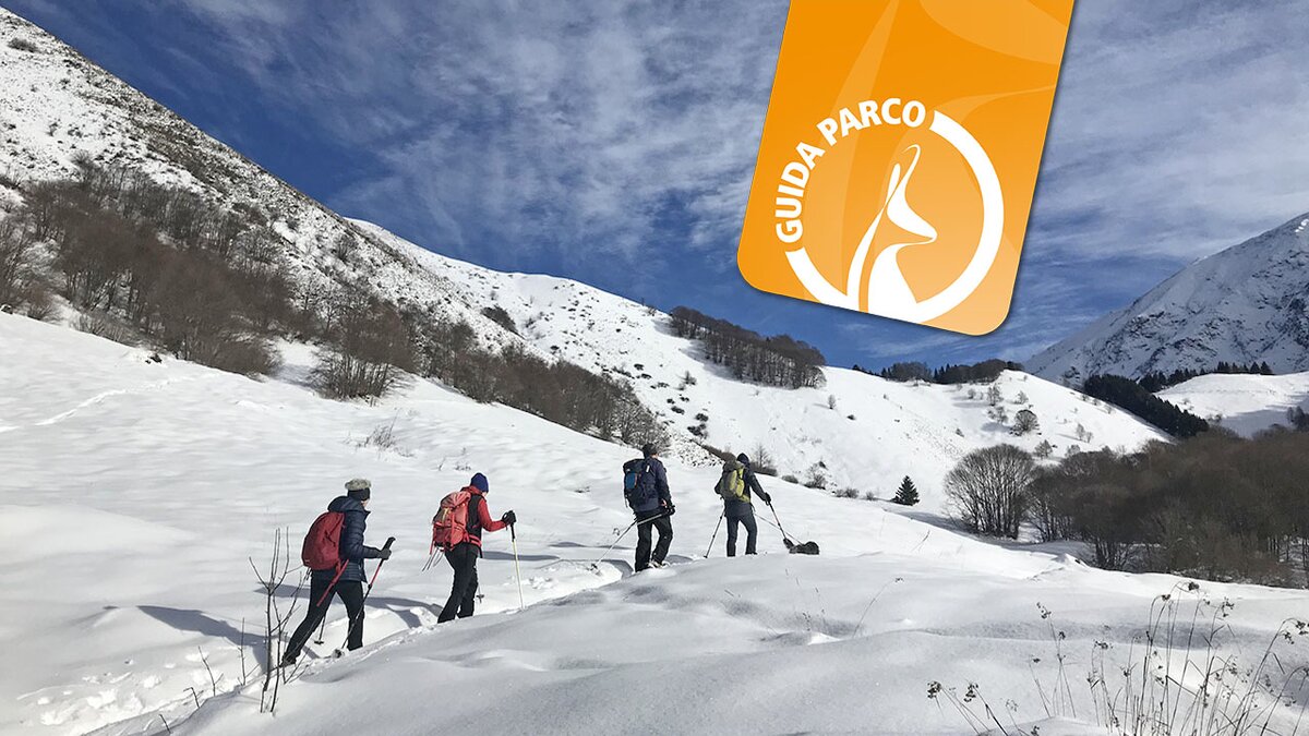 Quattro ciaspolatori con un cane al guinzaglio camminano sulla neve.