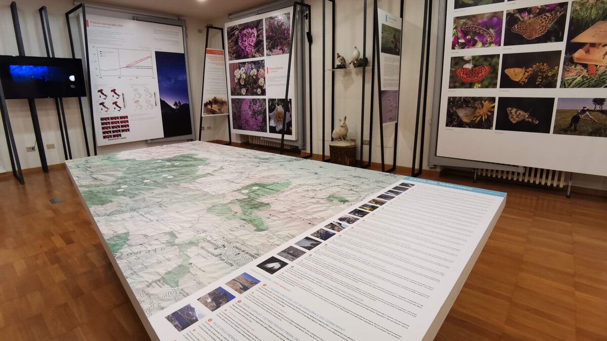 Nella fotografia: si vede il grande tavolo con la carta geografica dei parchi Marittime e Mercantour in cui sono evidenziati gli elementi di particolare interesse naturalistico.