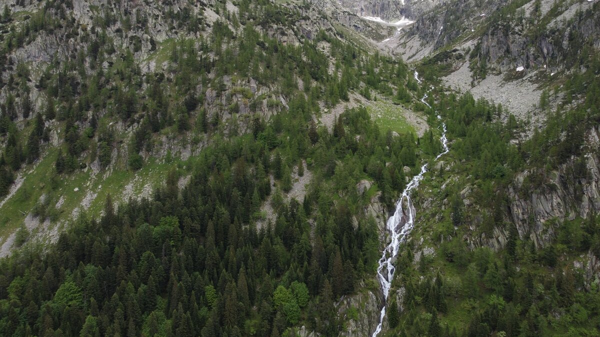 Scorcio aereo del Bosco della Valletta | A. Rivelli.