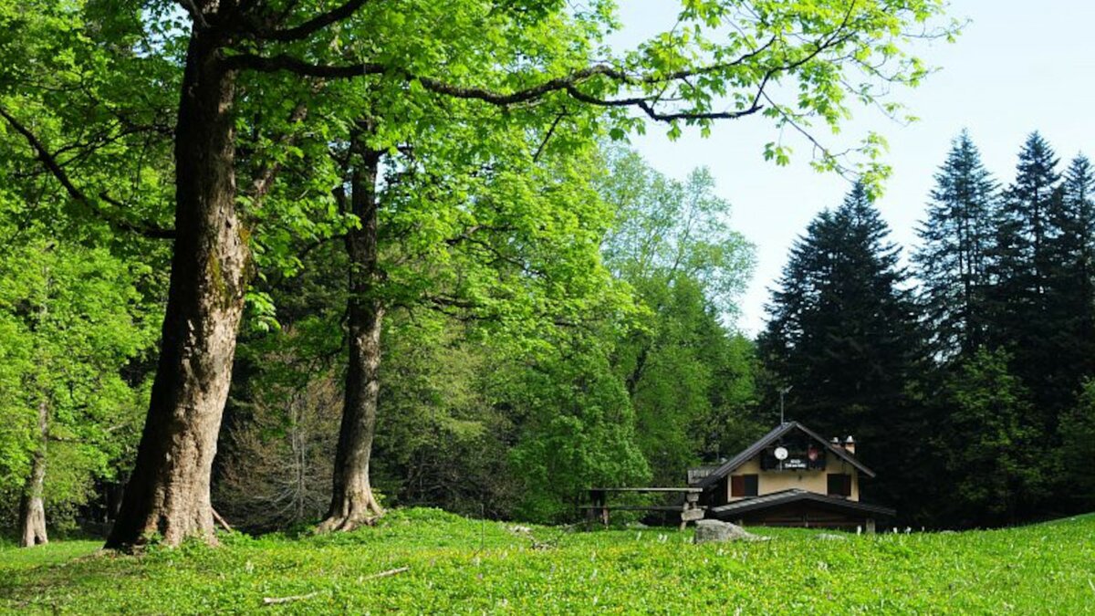 La foto, scattata da G. Bernardi, mostra, in secondo piano sulla destra, il rifugio Pian delle Gorre, sito nel Parco naturale del Marguareis. In primo piano un prato verde e sulla sinistra alcuni alberi. Fine della descrizione.