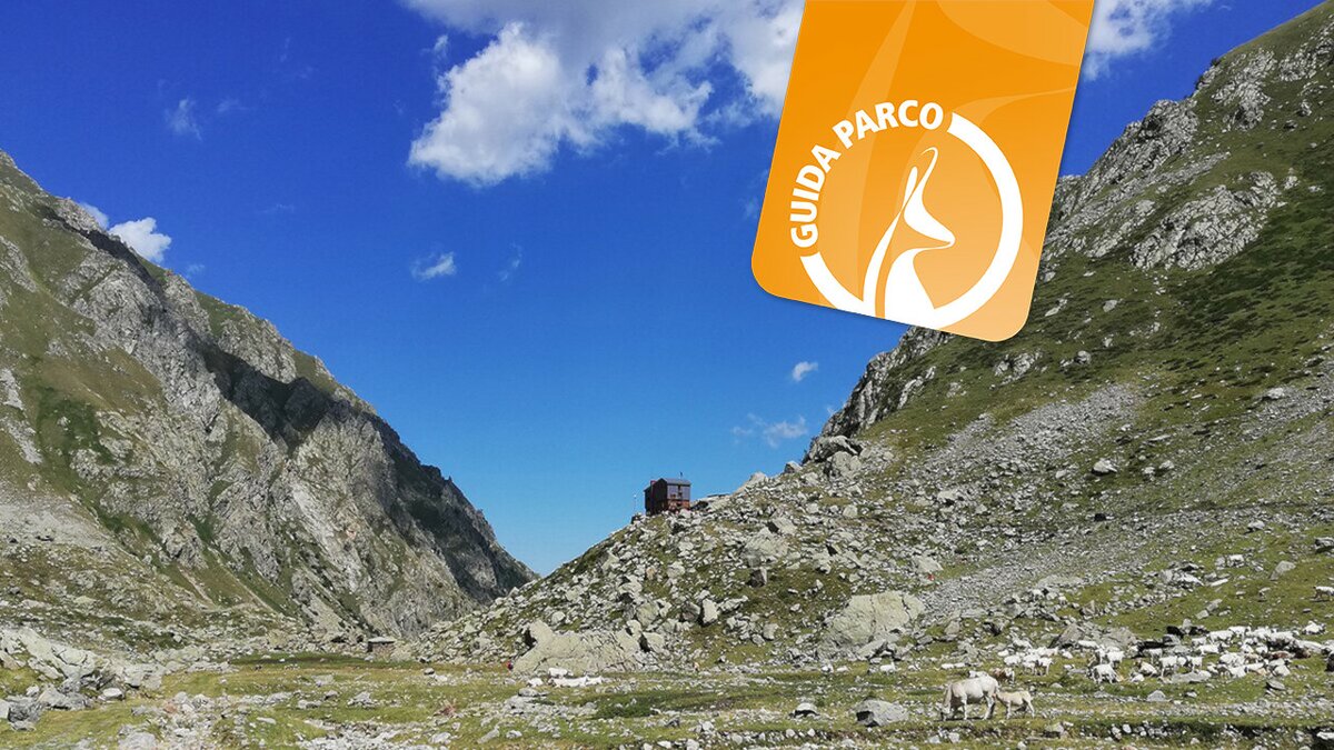 La fotografia mostra il Piano del Praiet (Valle Gesso della Barra), al centro sullo sfondo si nota il Rifugio Ellena-Soria. La fotografia è stata scattata da A. Rivelli. Fine della descrizione.