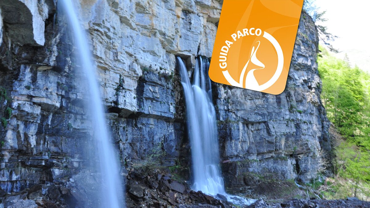 La fotografia mostra due cascate che sgorgano dalla montagna. Si tratta del Pis del Pesio. Foto di E. Resta. Fine della descrizione.