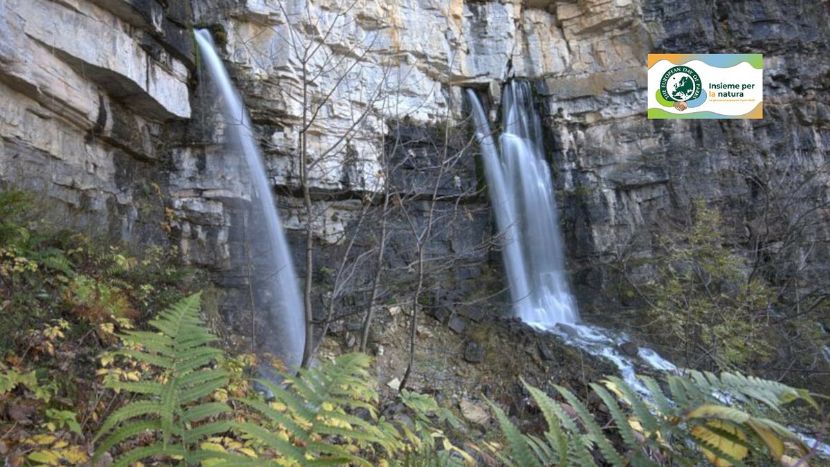 La fotografia mostra due cascate che sgorgano dalla roccia della montagna, si tratta delle cascate del Pis del Pesio. La fotografia è di Giorgio Bernardi. Fine della descrizione.