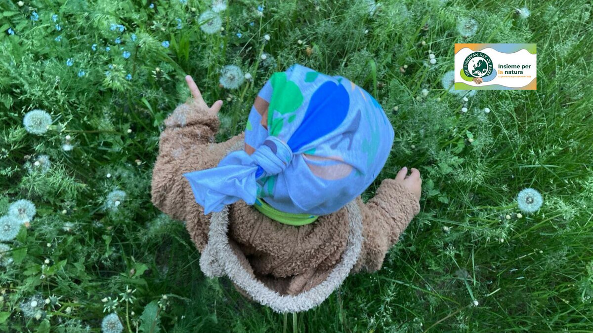 La foto mostra un bimbo di età inferiore ai due anni fotografato dall'alto, si nota la bandana azzurra sulla sua testa. E' immerso in un prato fiorito a primavera. Fine della descrizione.