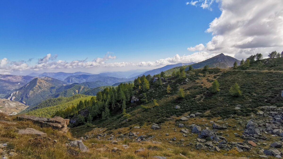 Nella foto Il Bosco delle Navette | G. Bernardi. Fine descrizione foto.