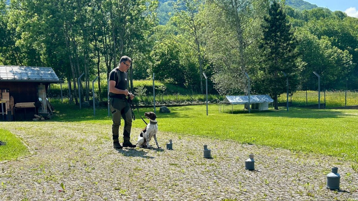 La foto mostra l'Unità Cinofila Antiveleno composta dal guardiaparco M. Colombo insieme al suo cane Argo, pronta per eseguire un esercizio di dimostrazione. Per terra si notano alcuni contenitori, all'interno di uno di essi è presente una sostanza chimica che il cane addestrato dovrebbe segnalare. Foto di A. Boschiazzo. Fine della descrizione.
