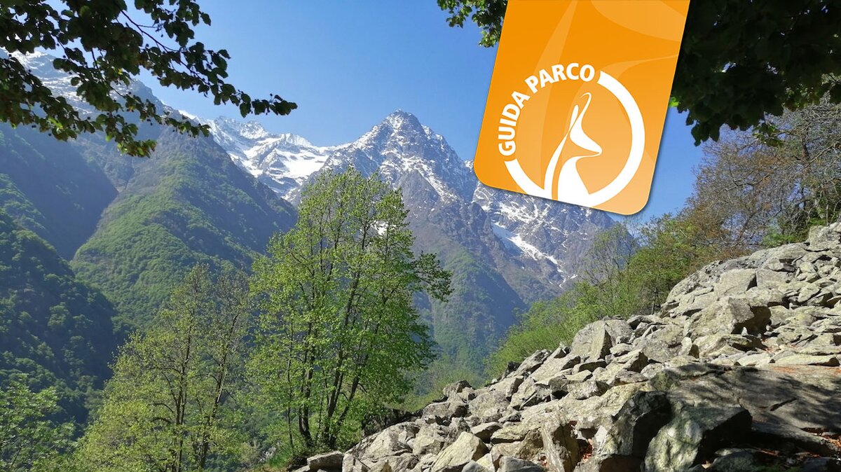 La foto di D. Dalmasso mostra una porzione del sentiero Lo Viòl di Tàit. In alto a destra è presente il flag arancione legato alle attività con le Guide Parco. Fine della descrizione.