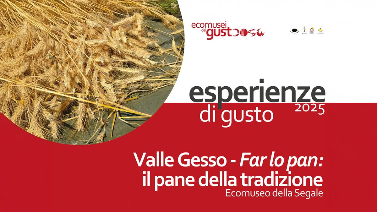 La cover dell'appuntamento Esperienze di gusto all'Ecomuseo della Segale. Fine descrizione della fotografia.