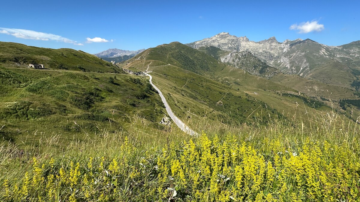 Descrizione foto: Il Colle di Tenda viso dalle caserme del Forte centrale. In primo piano fiori gialli e l'ultimo tratto di strada per il colle. | G. Bernardi v