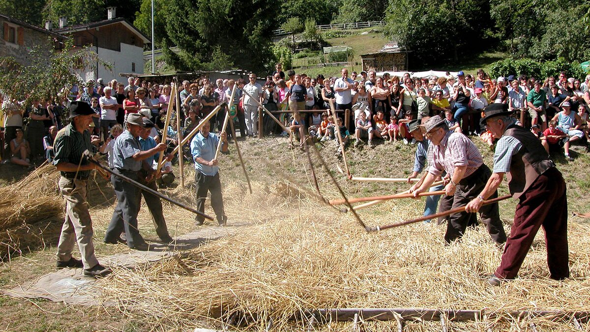 La tradizionale battitura della segale in una foto d’an tan: era il 2004 e a Sant’Anna di Valdieri si celebrava la 13ª edizione della Festa della Segale. Archivio APAM, autore Augusto Rivelli. Fine descrizione fotografia.