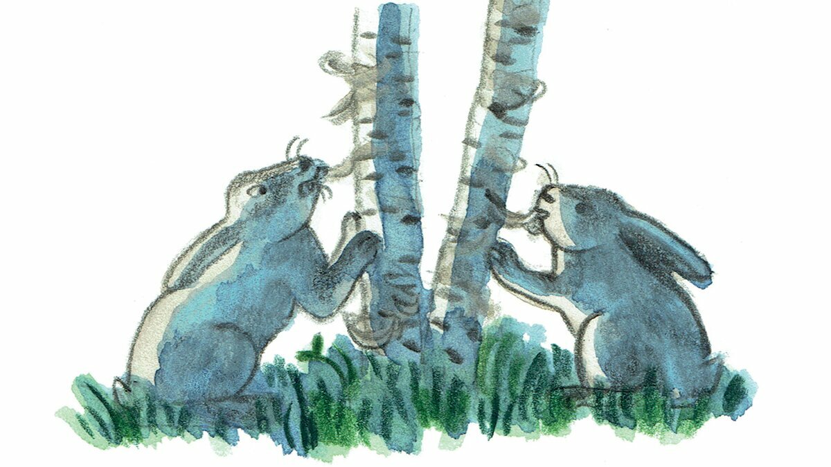 Il disegno è di Irene Penazzi e mostra due conigli, uno a destra e uno a sinistra di un albero, probabilmente una betulla. Fine della descrizione