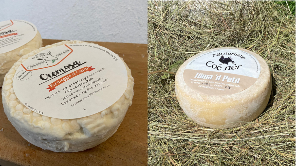 Collage con due foto: a sinistra il formaggio Cremosa di Mattia Comino, a destra la Tüma ‘d Petü dell'Agriturismo Coc Nèr. Fine della descrizione.