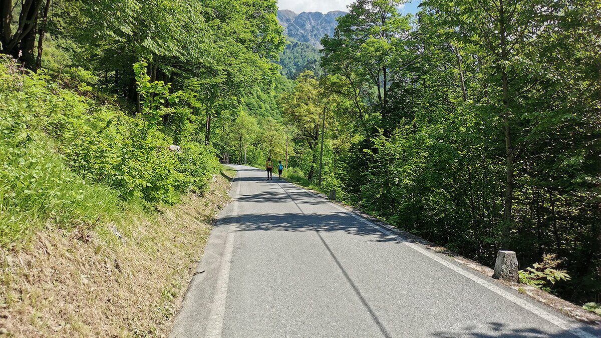 Lo scatto di G. Bernardi mostra la strada che da Certosa va a Pian delle Gorre. Sull'asfalto una coppia di persone. Fine della descrizione.