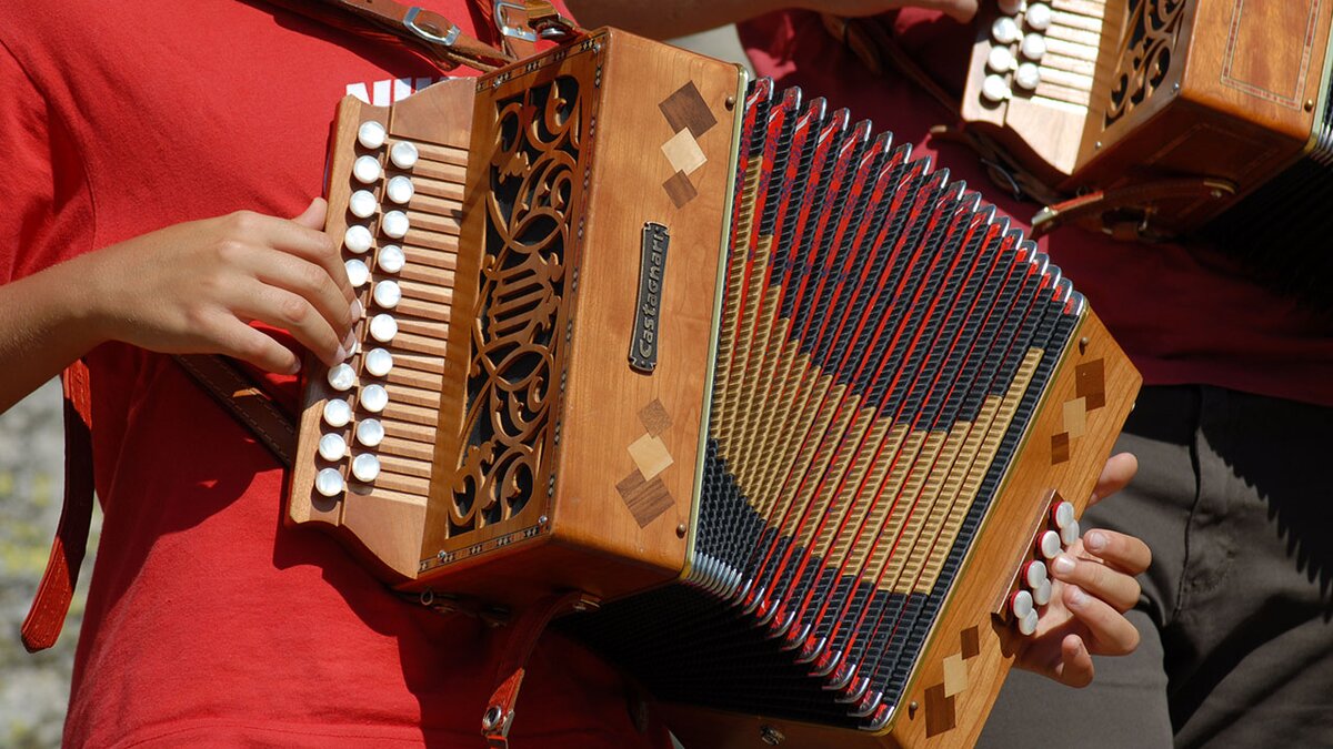 Due musicisti suonano organetti diatonici in legno decorato, strumenti tradizionali impiegati nella musica folk e occitana; l'immagine mette in evidenza le mani e i dettagli degli strumenti, con i mantici estesi durante l’esecuzione.