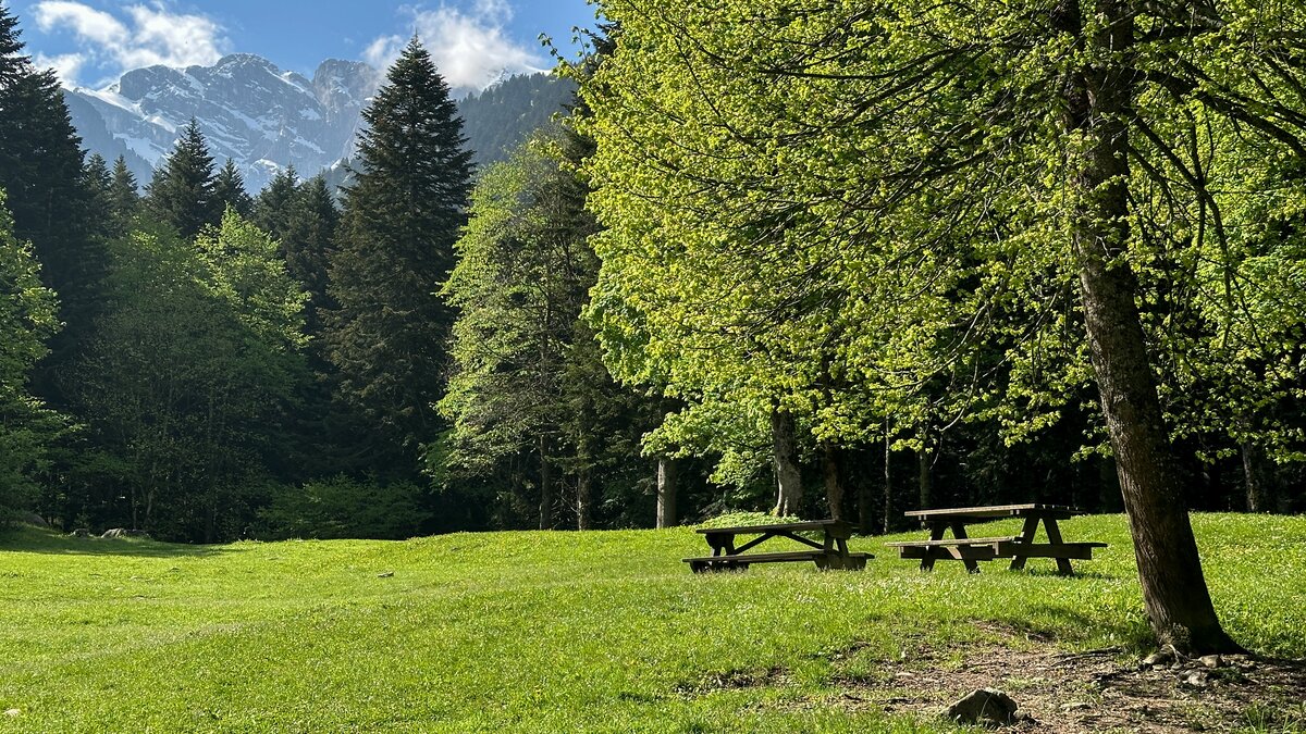 Descrizione foto: Il Pian delle Gorre con il Marguareis spruzzato di neve | G. Bernardi Fine descrizione foto.