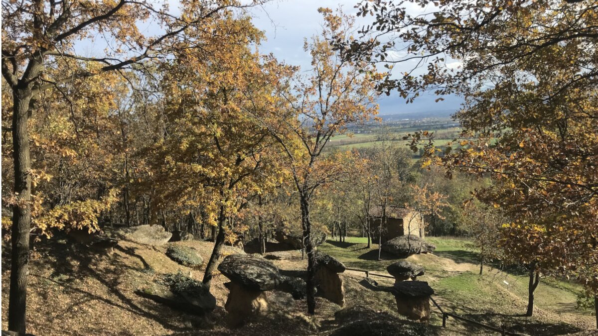 Lo scatto di G. Cavagnino mostra i famosi Ciciu di pietra presenti alla Riserva Naturale Ciciu del Villar immersi tra gli alberi. Fine della descrizione.