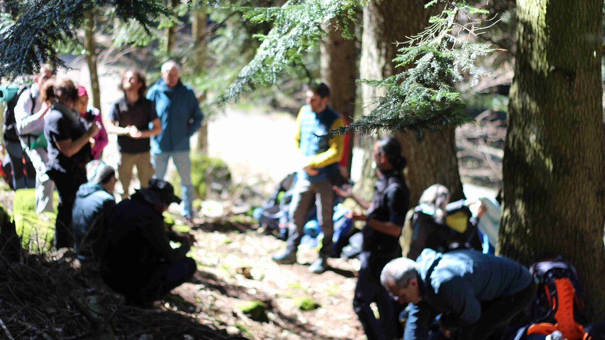Un momento dei workshop 2025 in alta Valle Pesio immortalato da Weco impresa sociale. SI notano diverse persone disposte in cerchio, sono immerse in un bosco. Fine della descrizione.