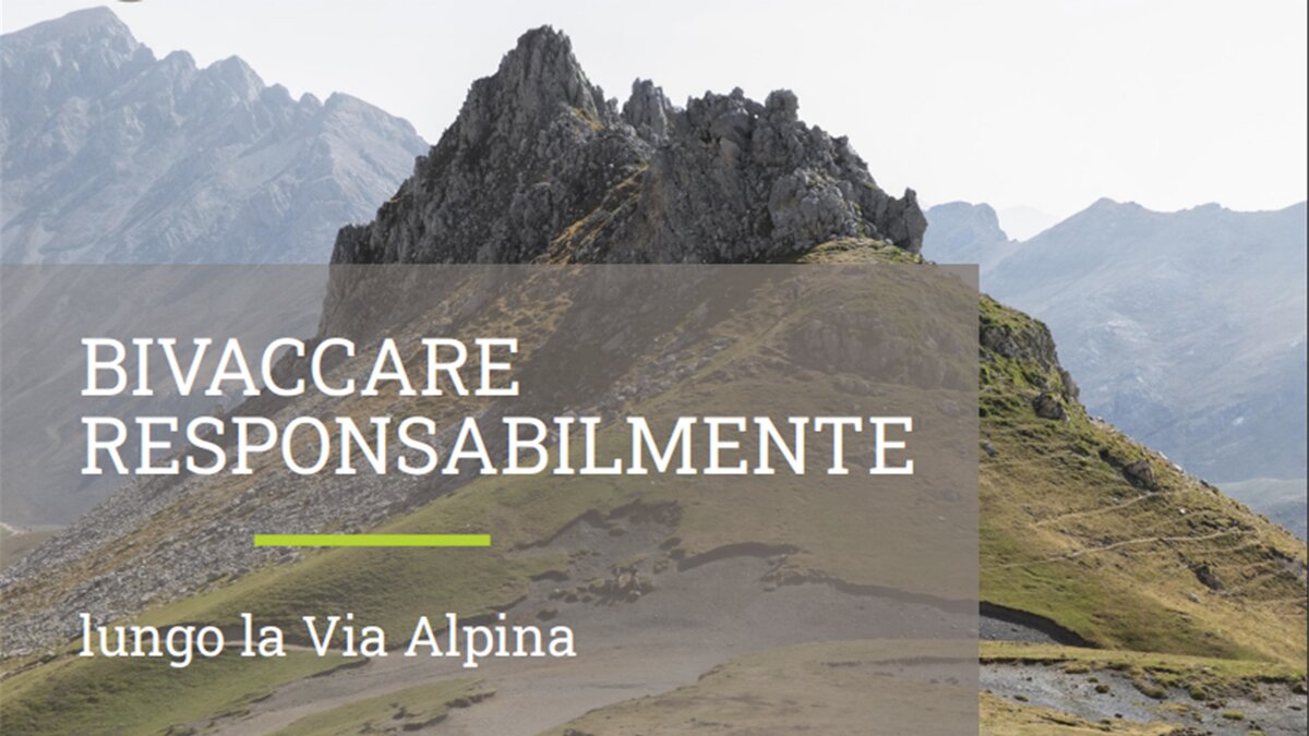 Nell'immagine un estratto dell'immagina della copert8ina del manuale