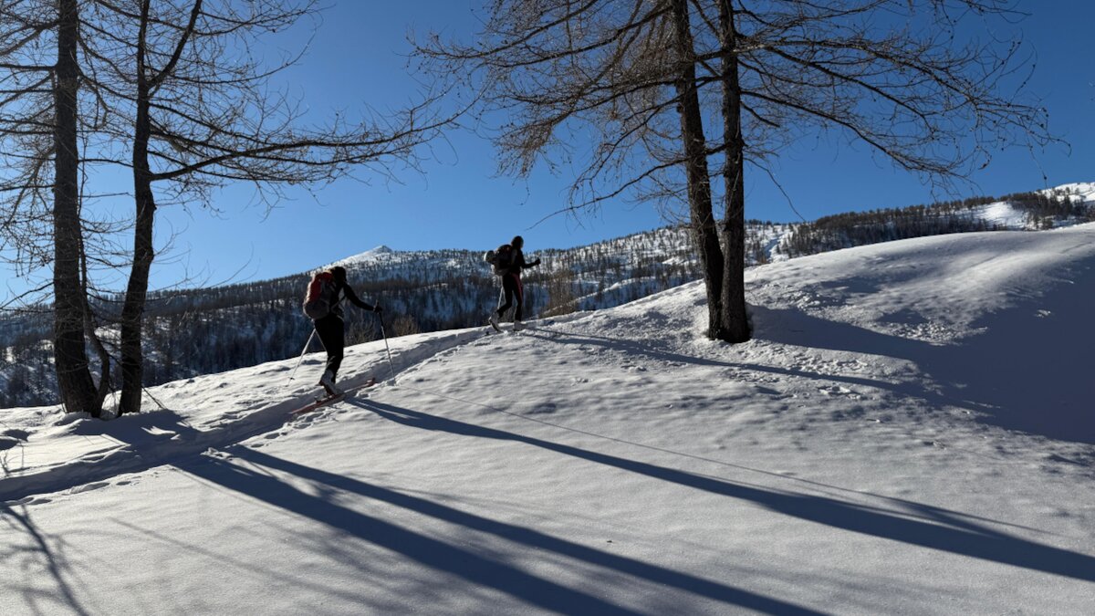 Lo scatto di G. Bernardi mostra due sciatori nel panorama innevato del Bosco delle Navette. Fine descrizione foto.