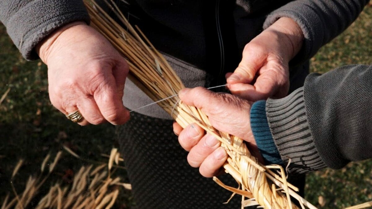 Mani intrecciano segale. Fotografia di Alessia Pellegrino. Fine descrizione immagine.