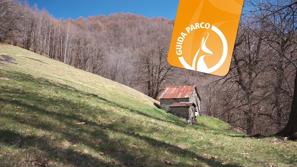 La foto di R. Pockaj mostra un casotto in un pascolo della Valle Pesio. Fine descrizione foto.